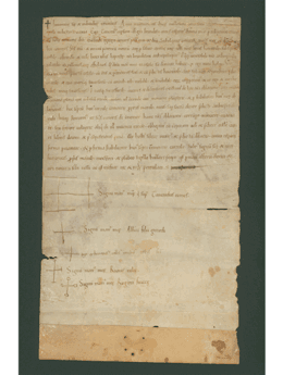 Biblioteca A. De Leo