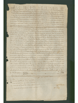 Biblioteca A. De Leo