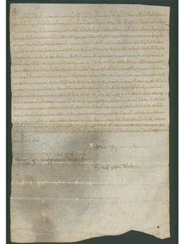 Biblioteca A. De Leo